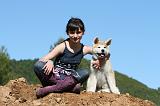 AKITA INU 449